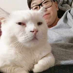 Meet your Posher, Wing